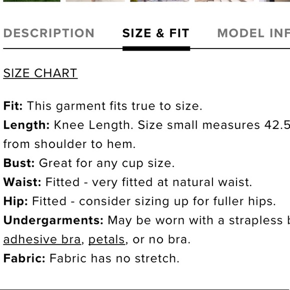 LaceDress - Picture 8 of 8